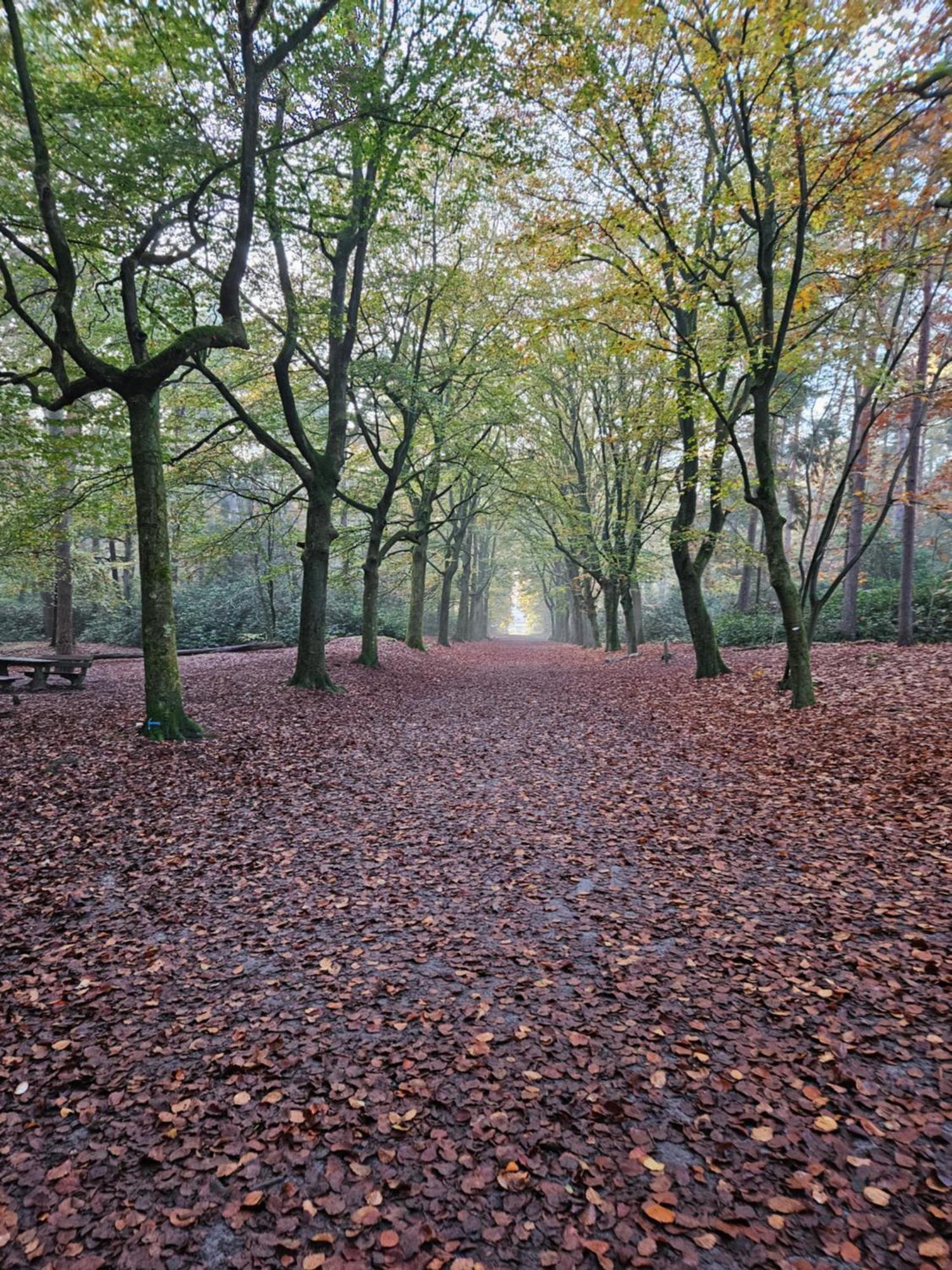 Bed And Breakfast Bij Ons In Het Bos Bergen op Zoom Dış mekan fotoğraf