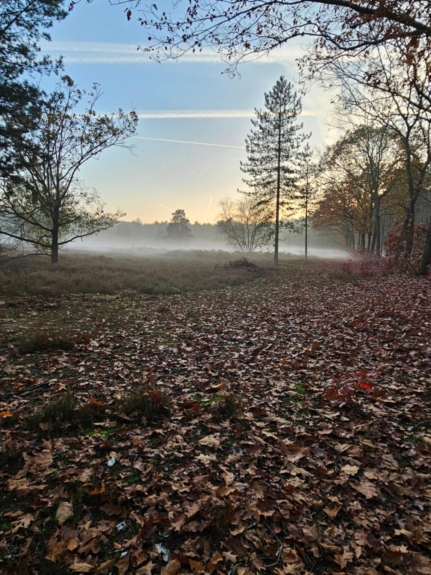 Bed And Breakfast Bij Ons In Het Bos Bergen op Zoom Dış mekan fotoğraf