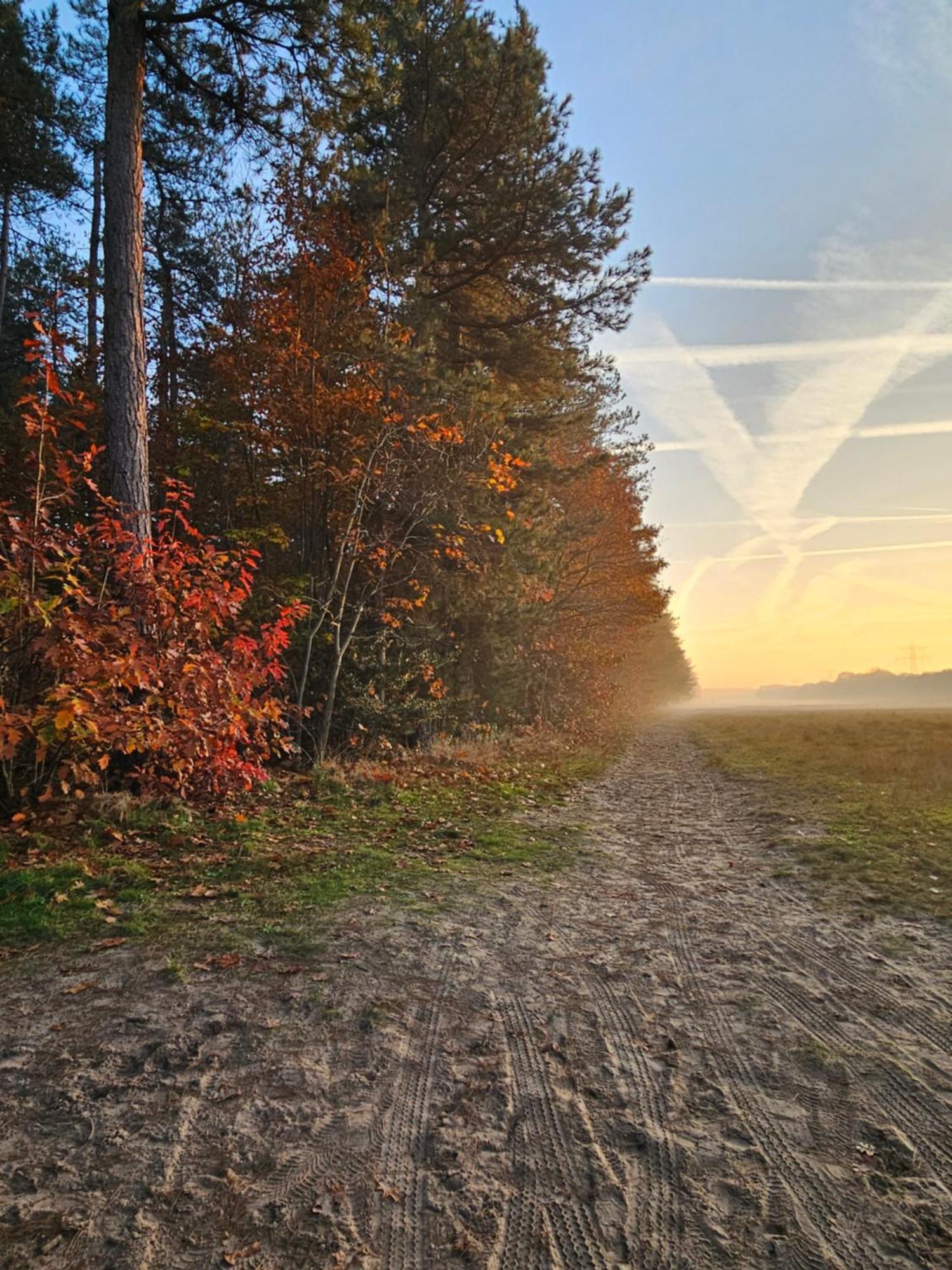 Bed And Breakfast Bij Ons In Het Bos Bergen op Zoom Dış mekan fotoğraf