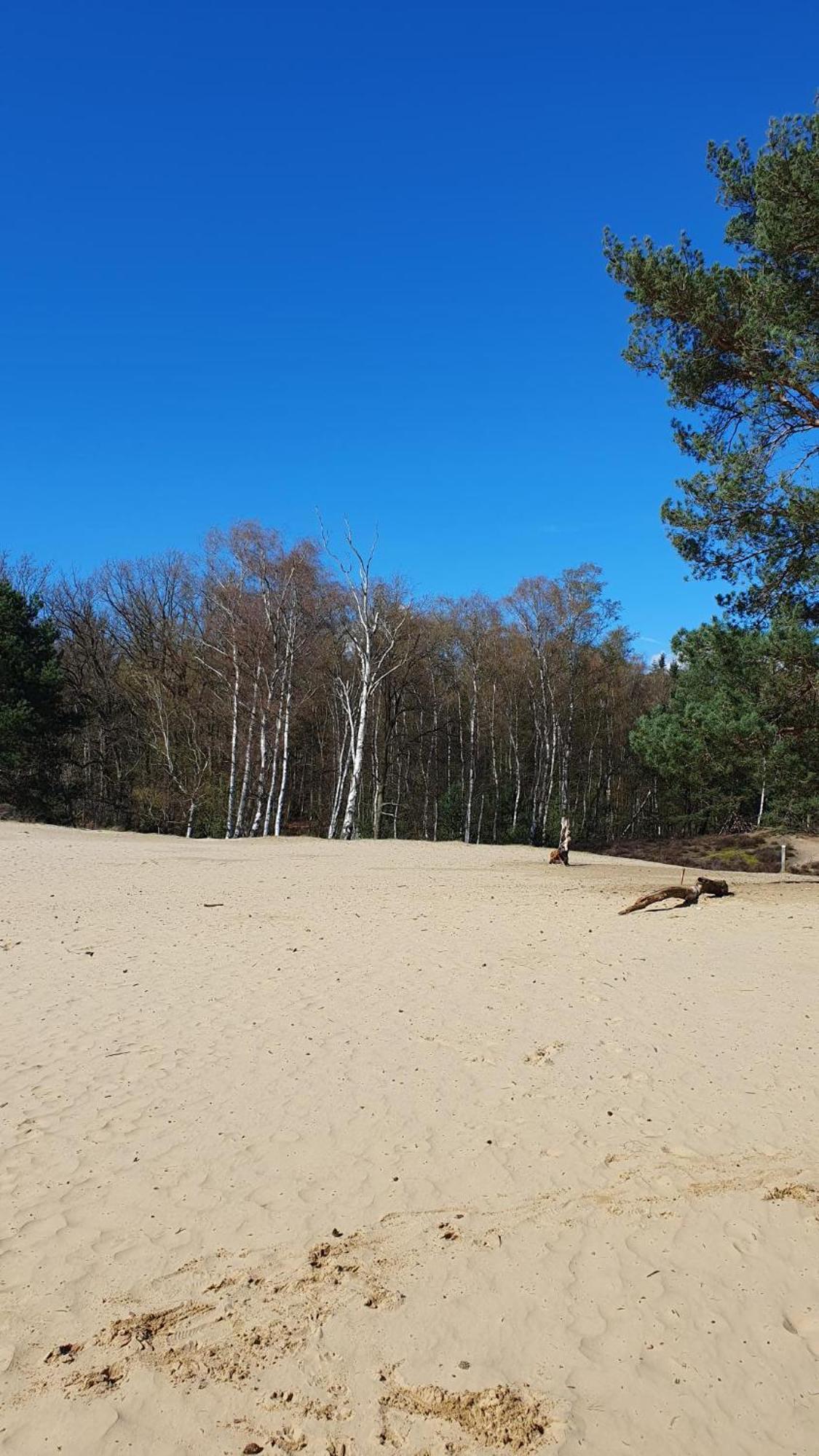 Bed And Breakfast Bij Ons In Het Bos Bergen op Zoom Dış mekan fotoğraf