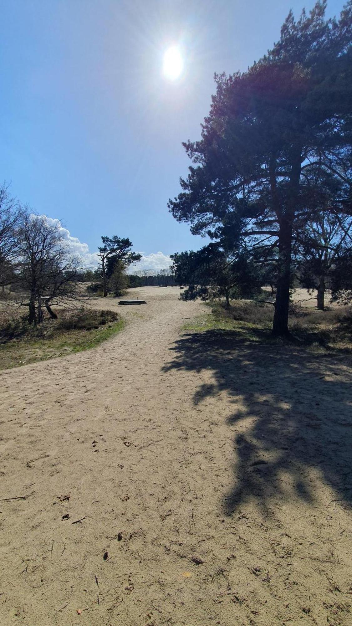 Bed And Breakfast Bij Ons In Het Bos Bergen op Zoom Dış mekan fotoğraf