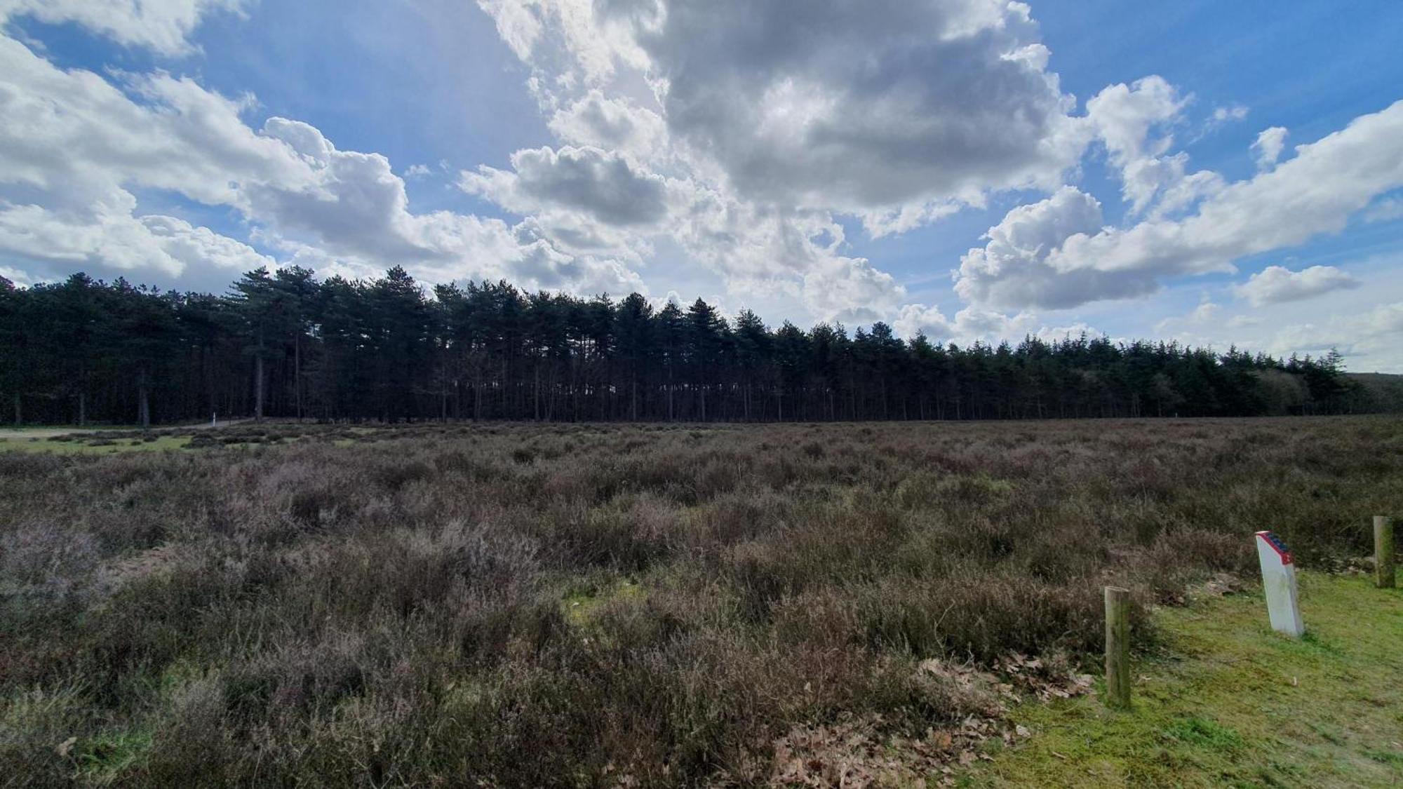 Bed And Breakfast Bij Ons In Het Bos Bergen op Zoom Dış mekan fotoğraf