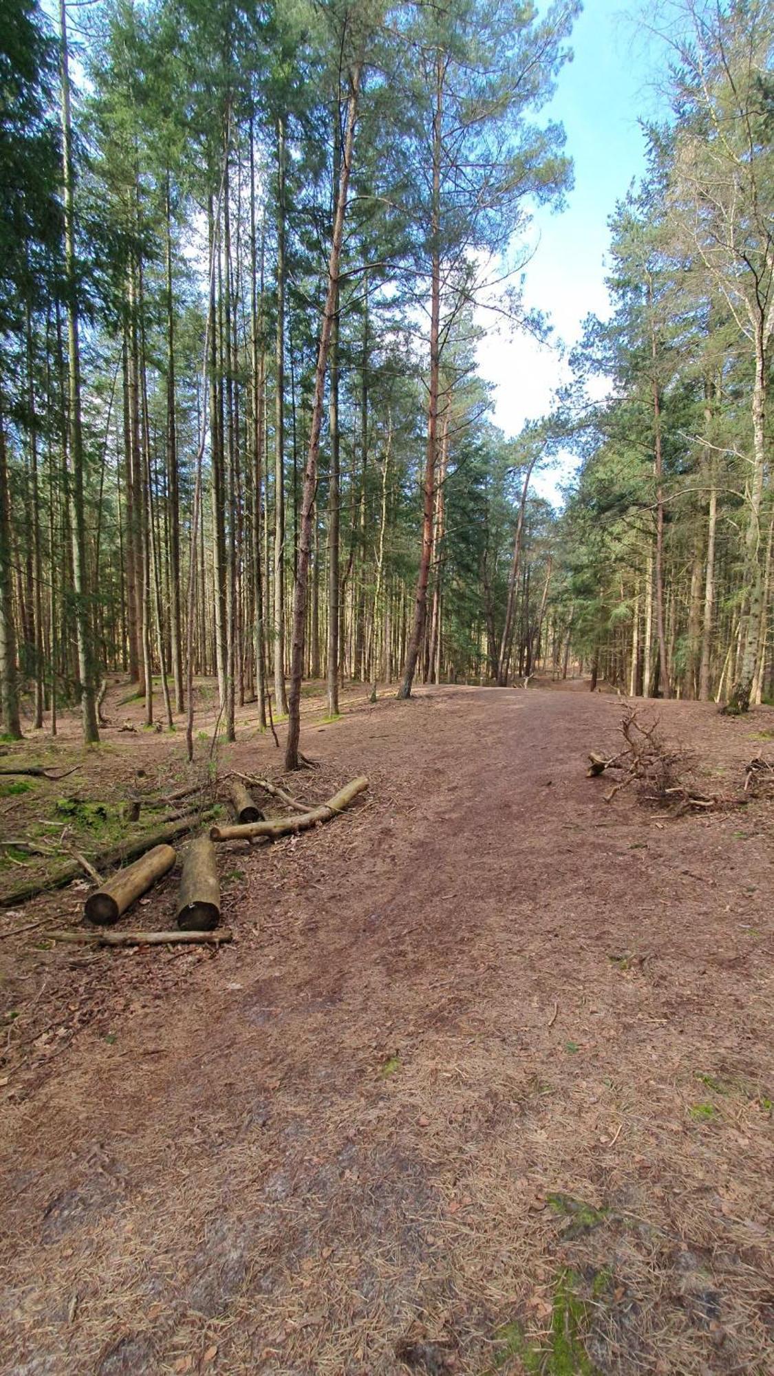 Bed And Breakfast Bij Ons In Het Bos Bergen op Zoom Dış mekan fotoğraf