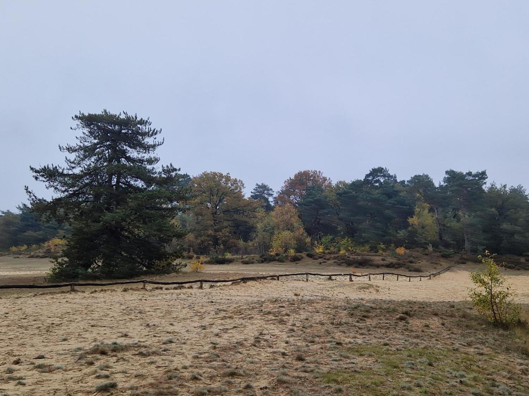 Bed And Breakfast Bij Ons In Het Bos Bergen op Zoom Dış mekan fotoğraf